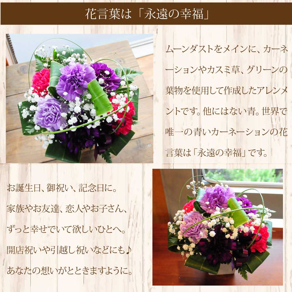 楽天市場 誕生日 記念日 花 ギフト アレンジメント フラワーギフト 女性 カーネーション 送料無料 プレゼント 紫 青 宅配 贈り物 古希 エーデルワイス ムーンダスト アレンジメント エーデルワイス 花宅配花屋ギフト 画像 動画あり 女性 みんなのレビュー 口コミ 楽天市場 誕生日 記念日 花 ギフト アレンジメント フラワーギフト 女性 カーネーション 送料無料 プレゼント 紫 青 宅配 贈り物 古希 エーデルワイス ムーンダスト アレンジメント エーデルワイス 花宅配花屋ギフト 画像 動画あり 女性 みんなのレビュー 口コミ