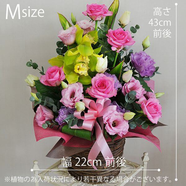 楽天市場 花 ギフト プレゼント フラワーアレンジメント 花 誕生日 記念日 あす楽 カクテルミックス 送料無料 開店祝 就任祝 長寿祝 敬老 エーデルワイス 花宅配花屋ギフト みんなのレビュー 口コミ 楽天市場 花 ギフト プレゼント フラワーアレンジメント 花 誕生日 記念日 あす楽 カクテルミックス 送料無料 開店祝 就任祝 長寿祝 敬老 エーデルワイス 花宅配花屋ギフト みんなのレビュー 口コミ