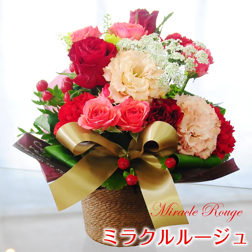 花 予約 バラ 結婚記念日 誕生日 生花 赤いバラ プロポーズ 送料無料 お祝い 薔薇 プレゼント 赤バラ 彼女 女性 ミラクルルージュ 卒業祝い 成人祝い エーデルワイス 翌日 明日 急ぎ 明日着 配送 配達 届け 宅配 翌日配達花