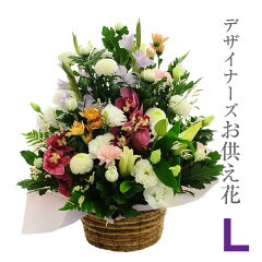 https://thumbnail.image.rakuten.co.jp/@0_mall/hanako/cabinet/07077946/osoar/1000-l.jpg