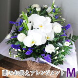 楽天市場 エーデルワイス 花宅配花屋ギフト 未購入を含む みんなのレビュー 口コミ 楽天市場 エーデルワイス 花宅配花屋ギフト 未購入を含む みんなのレビュー 口コミ