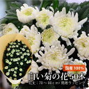 お供え 花 贈る 供花 お悔やみ 仏花 お供え 花束 あす楽対応商品 お供え花 お悔やみ 宅配 花 お供え 花 お供え 仏花 供花 お供え花 即日 お悔やみ 喪中見舞い 悔やみの花 供養 仏花 お彼岸 白い菊50本セット