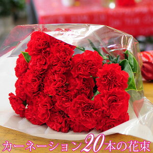 母の日 花束 ギフト 母の日 カーネーション 赤いカーネーション20本の花束 送料無料 記念日 結婚記念日 お祝い