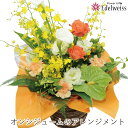 花 プレゼント 誕生日 花 転勤花 退職花 昇進花 昇格花 栄転花 就任祝い花 お祝い フラワー ギフト 花宅配 プレゼント 開店祝い 開業祝い 移転祝い 送別会 退職祝い 送料無料 エーデルワイス オンシジュームのアレンジメント