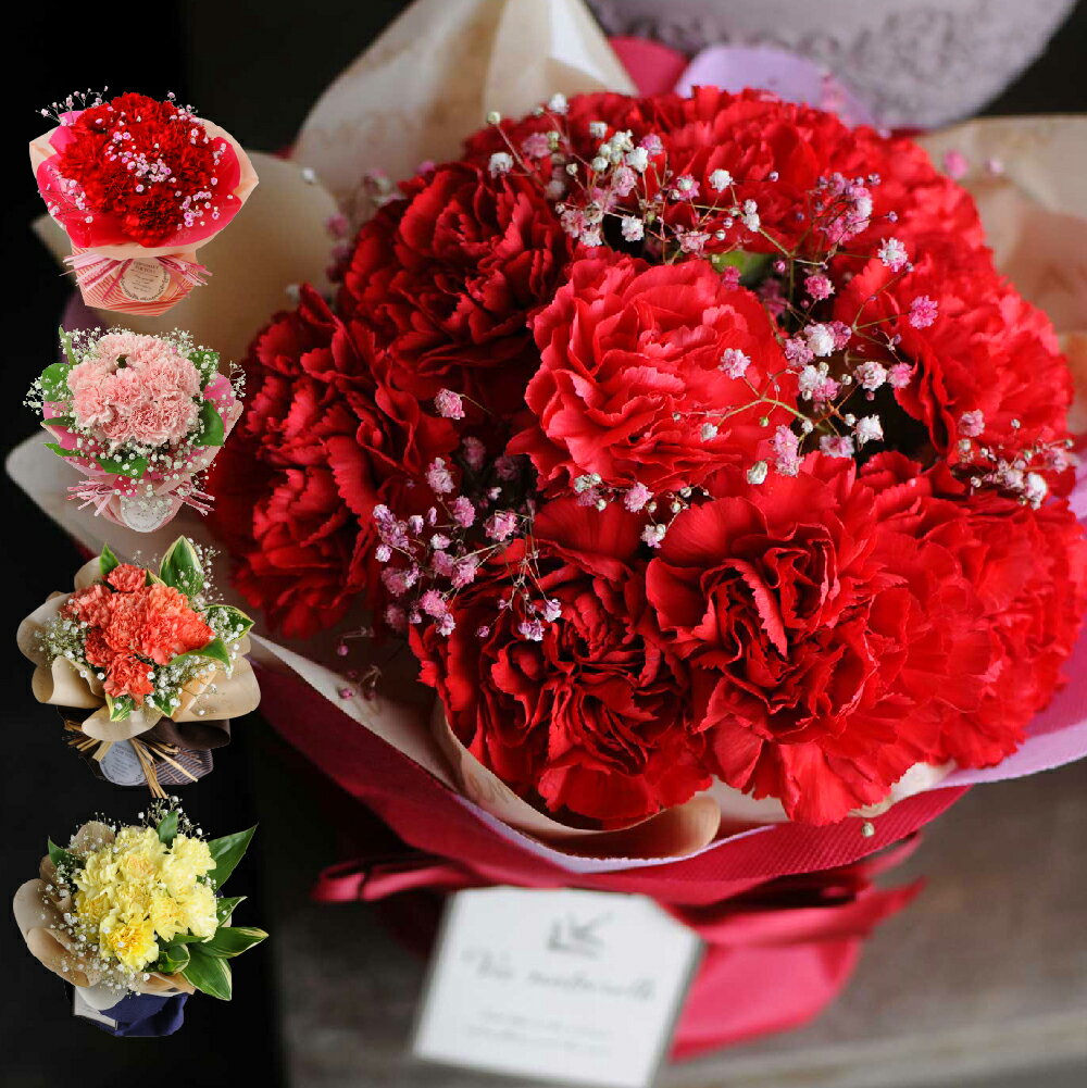 カーネーション 母の日 花束 プレゼント 誕生日 お祝い 記念日 お見舞い 退院祝い 還暦 長寿 送料無料 即日発送 そのまま飾れる不思議なブーケ 翌日 明日 急ぎ 明日着 配送 届け 宅配 カーネーションのブーケ エーデルワイス