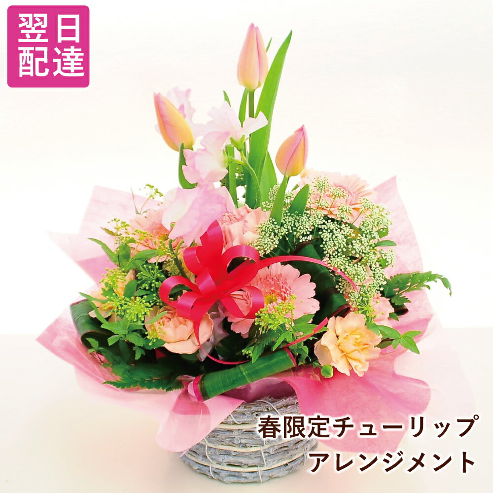 花 アレンジメント 花 チューリップ アレンジメント 卒業式 花 卒園式 卒業祝い 卒園祝い チューリップ 花 ギフト 誕生日 花 ギフト チューリップ 卒業祝い花 歓送迎会花 宅配 スプリングミックス Mサイズのサムネイル