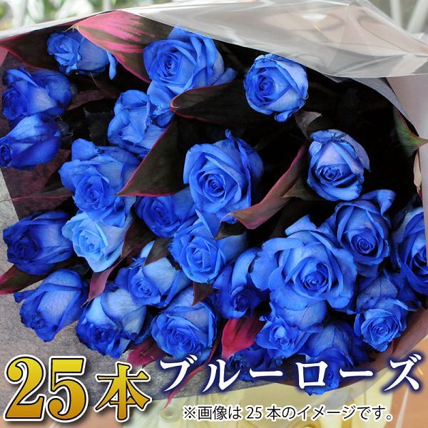 花束 ブルーローズ 青いバラ 青い薔薇 誕生日 25歳 の プレゼント 生花 記念日 プロポーズ 送料無料 お祝い 結婚記念…