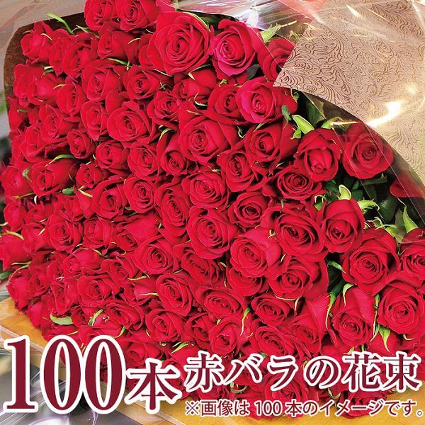 100本 花 予約 プロポーズ 記念日 誕生日 送料無料 妻 お祝い 薔薇 キャスト ホステス プレゼント 翌日 明日 急ぎ 明日着 配送 届け 宅配 翌日配達花 赤いバラ100本 結婚記念日 エーデルワイス