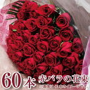 60本のバラ 花束 バラ 結婚記念日 60歳 誕生日 還暦 プロポーズ 送料無料 妻 お祝い 薔薇 結婚祝い プレゼント 赤いバラ60本 翌日 明日 急ぎ 明日着 配送 届け 宅配 翌日配達花 エーデルワイス