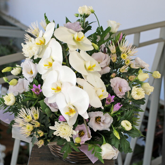 お彼岸 お供え花 供花 蘭 お供え 花 アレンジメント お悔み 花 お供え物 枕花 初七日 命日 四十九日 一周忌 三回忌 故人 御供 供養 法事 法要 お盆 新盆 初盆 お彼岸 喪中見舞い ペット 花 仏花 生花 エーデルワイス お悔やみの花 蘭のお供え花 アレンジメント 3Lサイズ