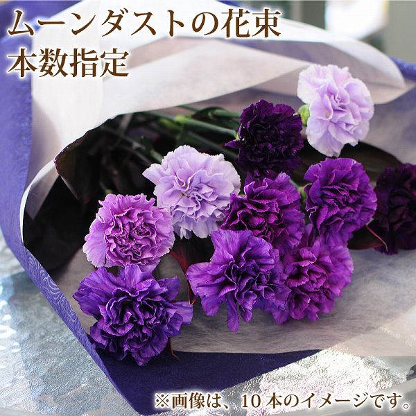 母の日 カーネーション ムーンダストの花束 好きな本数で注文【8本以上からの注文受付】 青いカーネーション バースディ 誕生日 結婚祝 プレゼント 青いカーネーション花束 誕生日 記念日 ギフト 花宅配 結婚記念日花束 年の数 フラワー ショップ