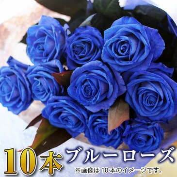 プロポーズ 誕生日 記念日 花束 青いバラ10本の花束 ブルーローズ ベンデラ 薔薇 送料無料 宅配 配送 お祝 ギフト プレゼント 送別会 退職祝い