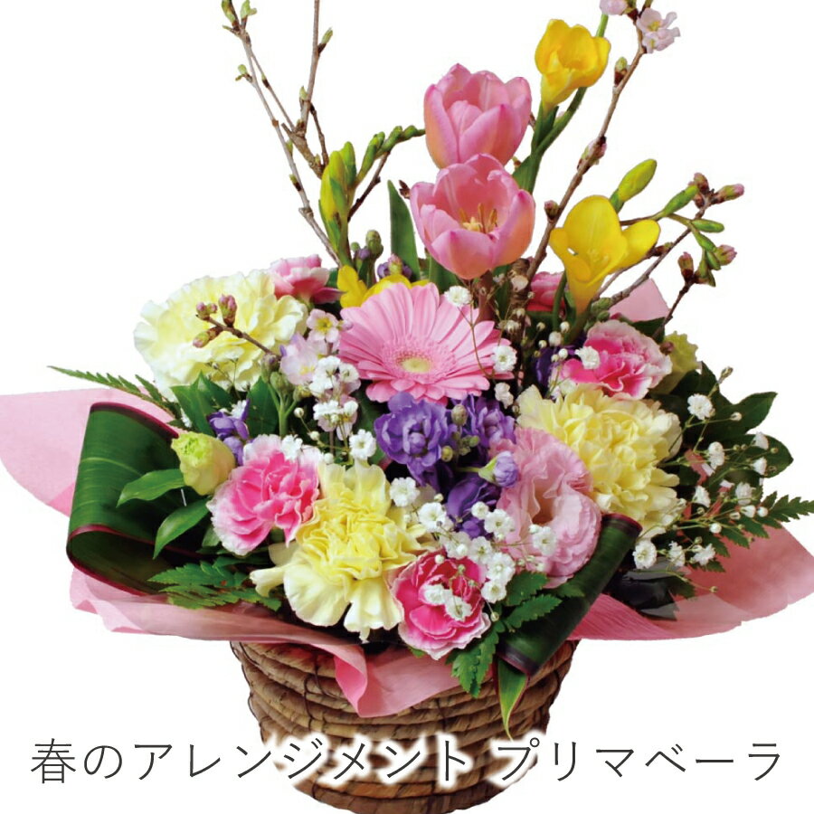 卒業祝い 花 合格祝い 花 卒業祝い 花 卒園祝い お祝い 花 春 送料無料 即日配送 翌日 明日 急ぎ 明日着 配送 配達 届け 宅配 翌日配達花 御祝 記念日 春のアレンジメントプリマベーラのサムネイル