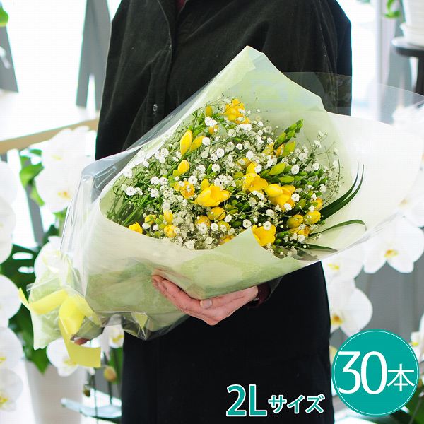 花束 プレゼント ホワイトデー 卒業祝 入学祝 就職祝 退職祝 フリージアの花束 卒園祝い 生花　春 予約 卒業 送別ギフト 誕生日 歓送迎会 記念日 退職 送別 花束 翌日 明日 急ぎ 明日着 配送 配達 届け 宅配 翌日配達花 フリージアの花束 2Lサイズ