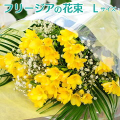 https://thumbnail.image.rakuten.co.jp/@0_mall/hanako/cabinet/springgift/freesia/bq_freesia_l.jpg