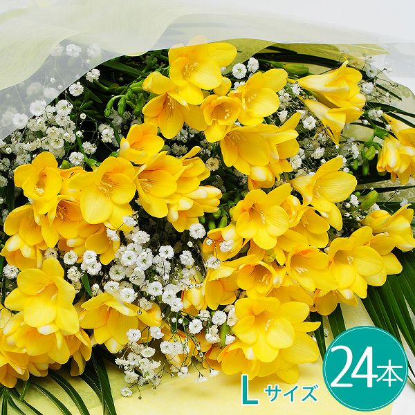 バレンタイン 2021 花束 バレンタイン 花 フリージア 花束 生花 春のお花 ギフト フリージアの花束 L お祝い 誕生日 プレゼント 卒業 卒園 退職 記念日 花贈る 宅配 フラワー 送料無料 送別 誕生日花束 プレゼント 花束 還暦祝い格安通販　バレンタイン　人気　ランキング