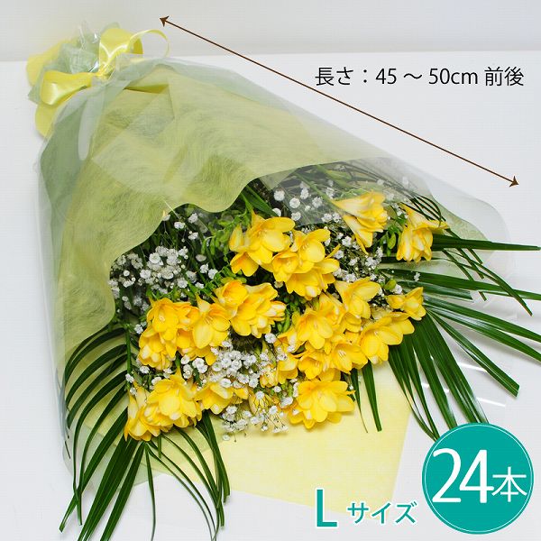 バレンタイン 2021 花束 バレンタイン 花 フリージア 花束 生花 春のお花 ギフト フリージアの花束 L お祝い 誕生日 プレゼント 卒業 卒園 退職 記念日 花贈る 宅配 フラワー 送料無料 送別 誕生日花束 プレゼント 花束 還暦祝い格安通販　バレンタイン　人気　ランキング