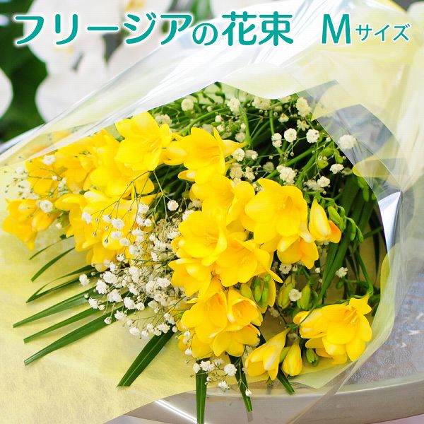 バレンタイン 21 花束 愛妻の日 フリージア 花束 バレンタイン 花 生花 フリージアの花束 Mサイズ 花 ギフト 春 花束 お祝い 誕生日 プレゼント 合格 卒業 卒園 退職 記念日 花贈る 花宅配 フラワーギフト 送料無料 退職 送別 香りのいい花束ギフト 誕生日花束のおすすめ バレンタイン 21 花束 愛妻の日 フリージア 花束 バレンタイン 花 生花 フリージアの花束 Mサイズ 花 ギフト 春 花束 お祝い 誕生日 プレゼント 合格 卒業 卒園 退職 記念日 花贈る 花宅配 フラワーギフト 送料無料 退職 送別 香りのいい花束ギフト 誕生日花束のおすすめ