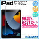 iPad フィルム 強化ガラス ブルーライトカット 第10/9/8世代 mini6 Air5 Pro11 保護シート 10.5 9.7