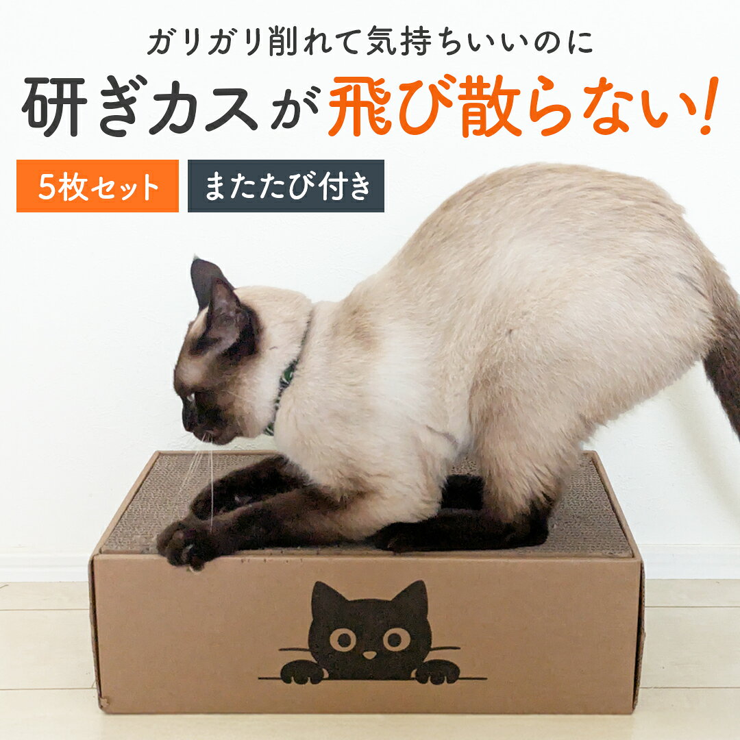 【楽天1位 】猫 爪とぎ 両面 長持ち 段ボール ベッド おしゃれ カスが出ない 丈夫 猫用 つめとぎ ベッド 猫 爪とぎ防止 壁ボロボロ 対策 猫 つめとぎ ダンボールベッド 猫 爪研ぎ ベッド ダンボール ベッド ダンボール ベッド 専用 段ボール 5枚入り 交換 猫 爪とぎハウスのサムネイル