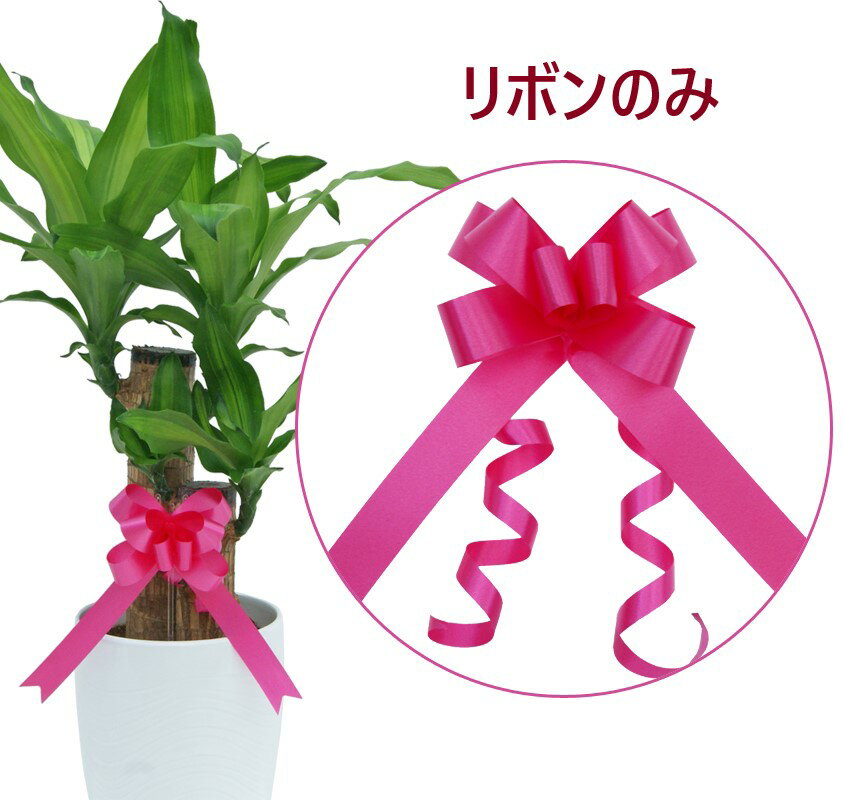 同梱用商品【植物用】