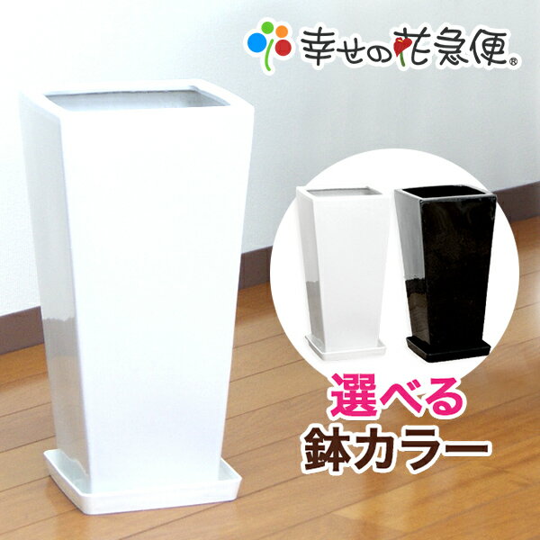 7号角高陶器鉢|白 黒 A029【用土別売