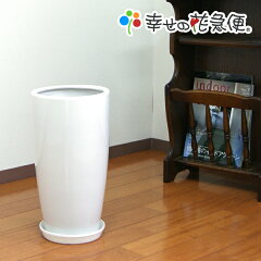 https://thumbnail.image.rakuten.co.jp/@0_mall/hanakyubin/cabinet/shohin/01579497/06760354/imgrc0080293347.jpg