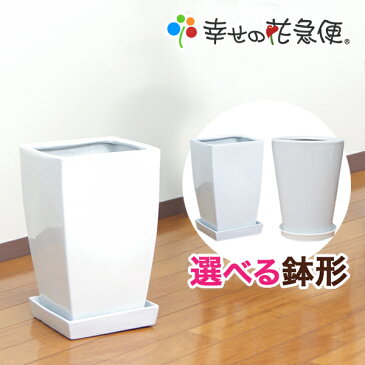 8号陶器鉢|(白) A-047-8(角) DS41-W8(丸)【用土別売】【送料無料/観葉植物/おしゃれな植木鉢/植え替え/インテリア/スクエア/大型】【smtb-ms】
