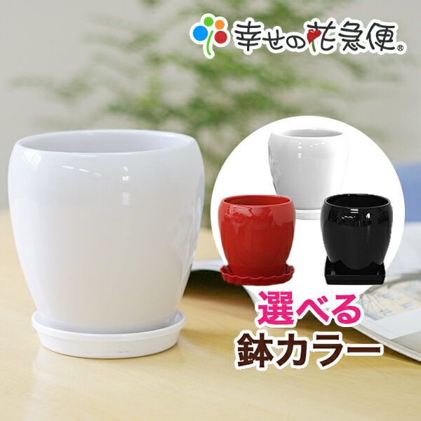 5号丸陶器鉢|白 赤 黒 A091【用土別売