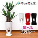 観葉植物 ユッカ(青年の木)7号高穴あき陶器鉢(白赤黒)高さ約1.1m【開店祝い 新築祝い 誕生日プレゼント 引越し祝い インテリア モダン アジアン おしゃれな植木鉢 送料無料】【smtb-ms】【05P06Aug16】