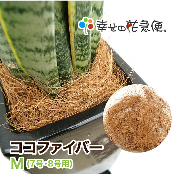 ココファイバーM(7号・8号用)|【送料無料/観葉植物/マルチング材/飾り石/ココヤシ】