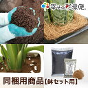 同梱用商品【鉢セット用】|化成肥料 培養土 マルチング材【送料無料 観葉植物 肥料NPK】