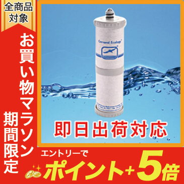 ★あす楽対応★全国送料無料★ シーガルフォー 交換カートリッジ BSS-10RC 【バスシャワー浄水システムBSS-10用】【SEAGULL IV】【RCP】【旧 BS-10RC】