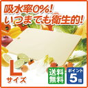 【即納可】キッチンスターL【あす楽対応】【食洗機対応】【月星...