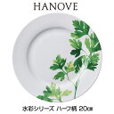 皿 ★あす楽対応★　HANOVE（ハノーヴェ）水彩シリーズ ハーフ柄 20cmプレート 【皿　食器　ボーンチャイナ　テーブルウェア　ハノーベ】