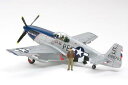 タミヤ(TAMIYA) 92216 1/48 ノースアメリカン P-51B マスタング ブルーノーズ ブンカ流通限定