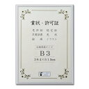 大仙 額縁 賞状額 オールライト アルミ B3 J091B4401