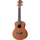 aNueNue aNN-U2 Hawaiian Dream Series Mahogany II コンサートウクレレ