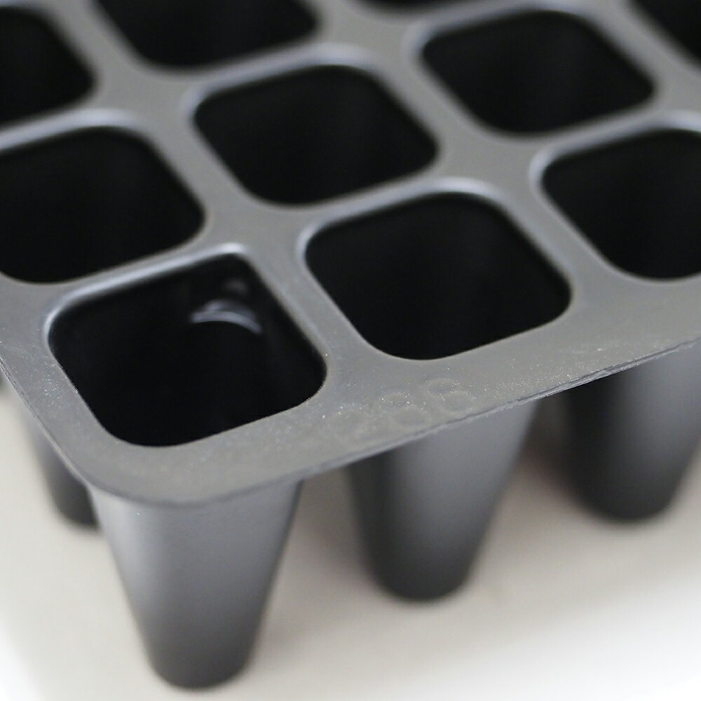 ������̵����˭��ȥ쥤20���ȡ��ץ饰�ȥ쥤�����ĥȥ쥤������ȥ쥤�֥�å����ۥ磻�ȡ�288�ꡡ200�ꡡ128�ꡡ72��