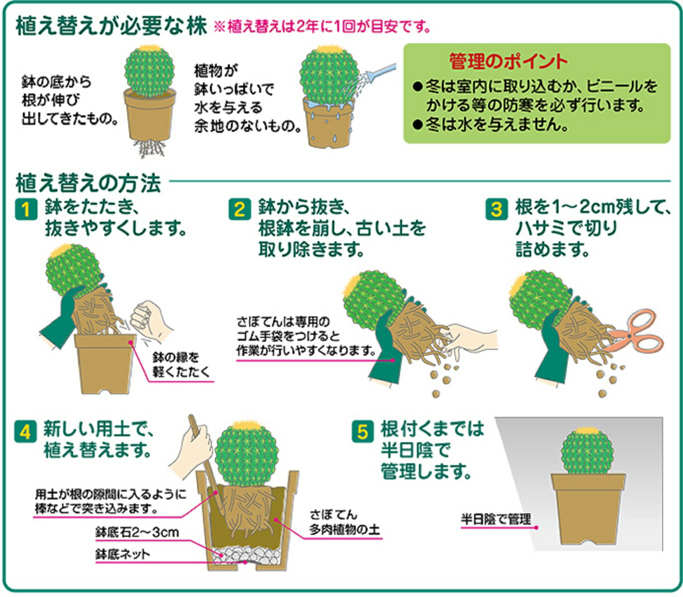 さぼてん多肉植物の土 5L