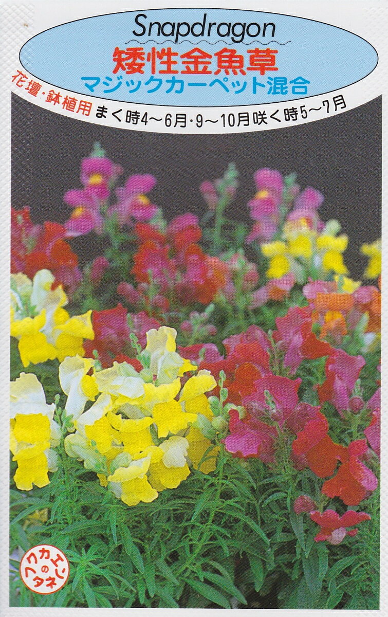 矮性金魚草マジックカーペット混合福花園種苗【種子】