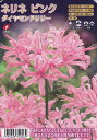ネリネ ピンク ダイヤモンドリリー 1球入【球根】福花園種苗