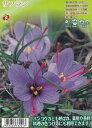 サフラン 5球秋植え球根 福花園種苗