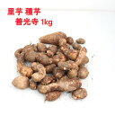 里芋 善光寺1kg（充填時）種芋用