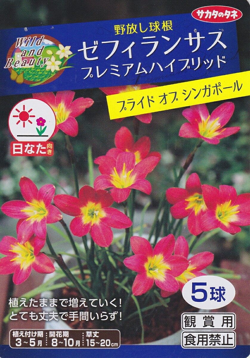 ゼフィランサスプレミアムハイブリッドプライド オブ シンガポール 5球サカタのタネ【野放し球根】