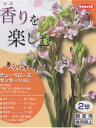 春植え球根　ダリア　秋田セレクション　大輝　1球入り