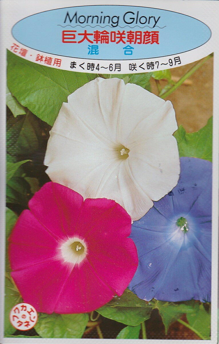 アサガオ巨大輪咲朝顔 混合【種子】福花園種苗
