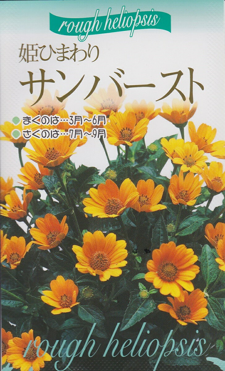 姫ひまわりサンバースト【種子】福花園種苗