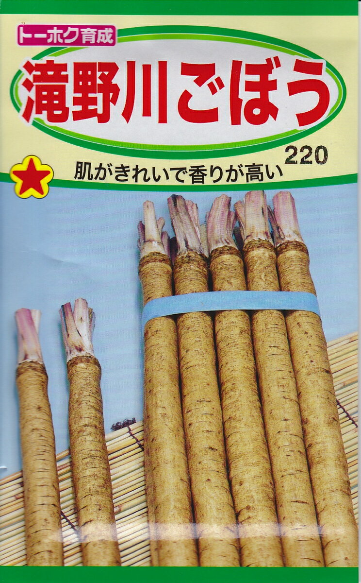 ゴボウの代表種の『滝野川』を選抜改良した優良品種で、香りが高く肉がしまっています。根は細身でやや長く、地際部から尻部まで同じ太さになります。 ◇蒔き方◇ ・春まきと秋まきができますが、春まきが主体です。 ・春は葉桜の頃からまき始めます。 ・秋は越冬する前の根径が1cm以下になるように遅まきします。 ・畑には1平米当り堆肥2kg・苦土石灰100g・化成肥料を50g施し、深く耕しておきます。 ・さらに水はけと収穫しやすいように高ウネにします。 ・畑を良く湿らせて幅70cm・株間10cm位にまき、本葉3枚の頃1本にします。 ・たねまき後100日頃から収穫を始め、150日後には長さが75cm位になります。 ・土質によって根形は変わります。 ●発芽適温：20〜25℃ ●生育適温：20〜25℃ ※本種子を食用・飼料に使用しないでください。 また小児の手の届かない所に保管してください。 種子のお届けについてのお知らせ ※メール便に　　　　　　　　ついて◇◆◇◆◇種子のみご購入のお客様へ◆◇◆◇　 種子のみご購入の場合、お届けはメール便にてお届けになります。メール便でのお届け時には、代金引換決済がご利用いただけません。　 代金引換決済をご選択の場合は、通常の送料の金額に変更させていただきます。 送料を変更した金額を、後ほどメールにてお知らせさせていただきますので、ご確認ください。※配送日時に　　　ついて　メール便でのお届けは、ポストへの投函での お届けになります。そのため、配送日時のご指定はお受けできません。　 ヤマト運輸でのメール便のお届けは、発送日から翌々日以降のお届けになります。 ご予定がある場合は、日程に余裕をもってご注文くださいますようお願いいたします。