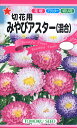 切花用みやびアスター(混合)トーホクのたね